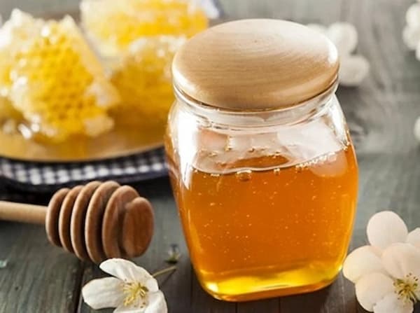 قیمت خرید عسل یک کیلویی با فروش عمده